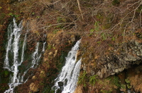 白ひげの滝-3.JPG
