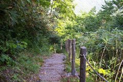 賀老の滝遊歩道.jpeg