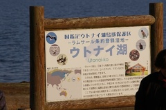 ウトナイ湖看板.jpeg