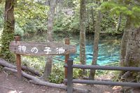 神の子池